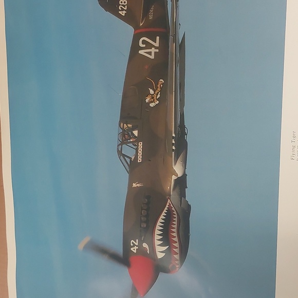 Flying Tiger AVG P-40E Warhawk Print - Picture 2 of 6